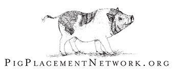 Pig Placement Network